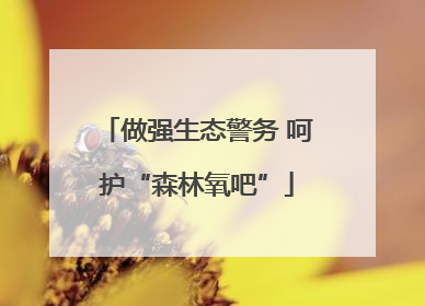 做强生态警务 呵护“森林氧吧”