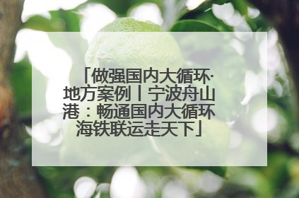 做强国内大循环·地方案例丨宁波舟山港：畅通国内大循环海铁联运走天下
