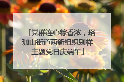 党群连心粽香浓，珞珈山街道两新组织别样主题党日庆端午