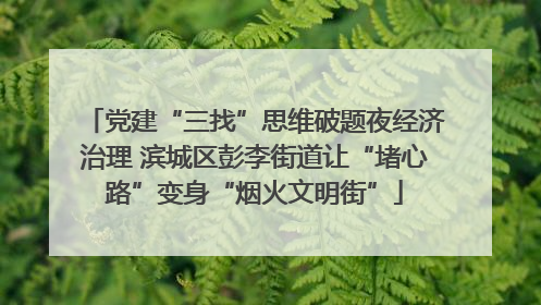 党建“三找”思维破题夜经济治理 滨城区彭李街道让“堵心路”变身“烟火文明街”