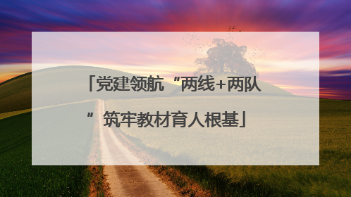 党建领航“两线+两队”筑牢教材育人根基