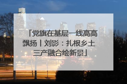 党旗在基层一线高高飘扬丨刘影：扎根乡土 三产融合绘新景