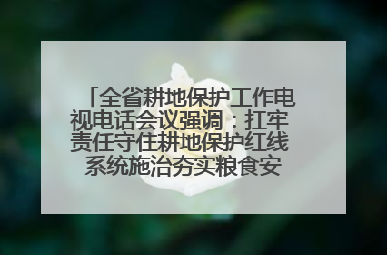 全省耕地保护工作电视电话会议强调：扛牢责任守住耕地保护红线 系统施治夯实粮食安全根基 王宁作出批示 王予波出席并讲话