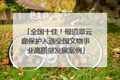 全国十佳！蜀道翠云廊保护入选全国文物事业高质量发展案例