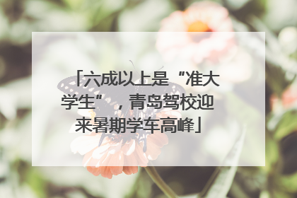 六成以上是“准大学生”，青岛驾校迎来暑期学车高峰