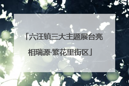 六汪镇三大主题展台亮相瑞源·繁花里街区