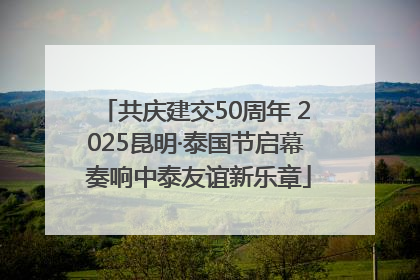 共庆建交50周年 2025昆明·泰国节启幕 奏响中泰友谊新乐章