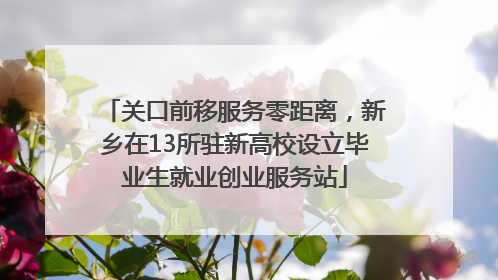 关口前移服务零距离，新乡在13所驻新高校设立毕业生就业创业服务站