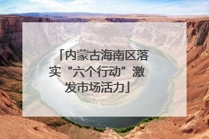 内蒙古海南区落实“六个行动”激发市场活力