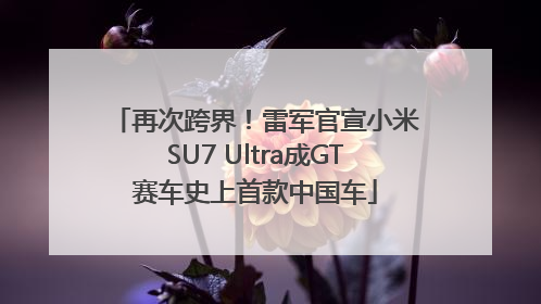 再次跨界！雷军官宣小米SU7 Ultra成GT赛车史上首款中国车