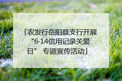 农发行岳阳县支行开展“6·14信用记录关爱日” 专题宣传活动