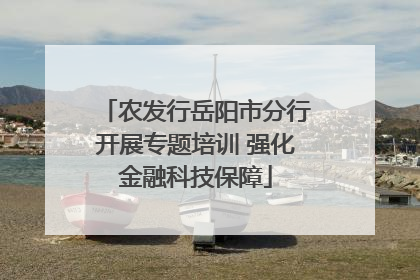 农发行岳阳市分行开展专题培训 强化金融科技保障