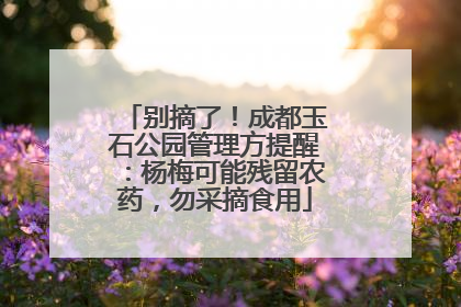 别摘了！成都玉石公园管理方提醒：杨梅可能残留农药，勿采摘食用
