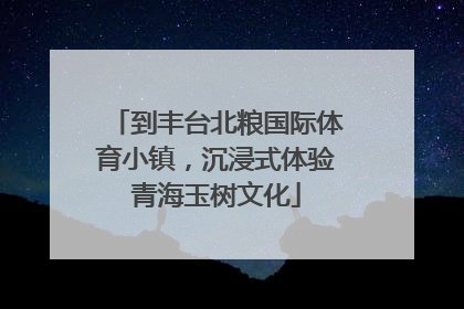 到丰台北粮国际体育小镇，沉浸式体验青海玉树文化