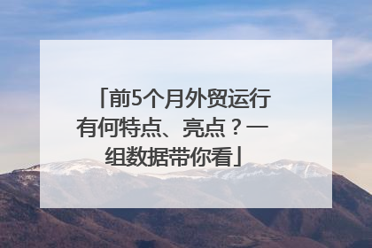 前5个月外贸运行有何特点、亮点？一组数据带你看
