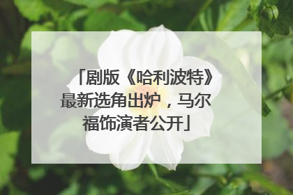 剧版《哈利波特》最新选角出炉，马尔福饰演者公开