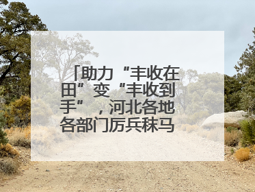 助力“丰收在田”变“丰收到手”，河北各地各部门厉兵秣马迎战“三夏”
