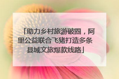 助力乡村旅游破圈，阿里公益联合飞猪打造多条县域文旅爆款线路