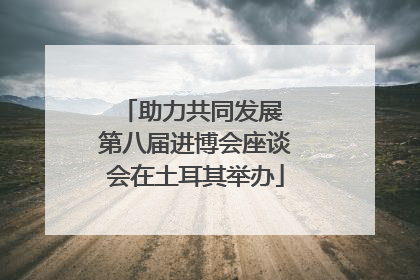 助力共同发展 第八届进博会座谈会在土耳其举办