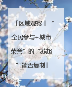 区域观察丨“全民参与+城市荣誉”的“苏超”能否复制