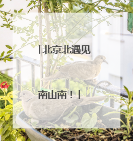 北京北遇见南山南！