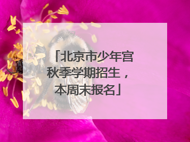 北京市少年宫秋季学期招生，本周末报名