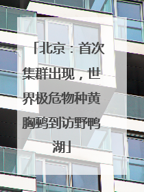 北京：首次集群出现，世界极危物种黄胸鹀到访野鸭湖