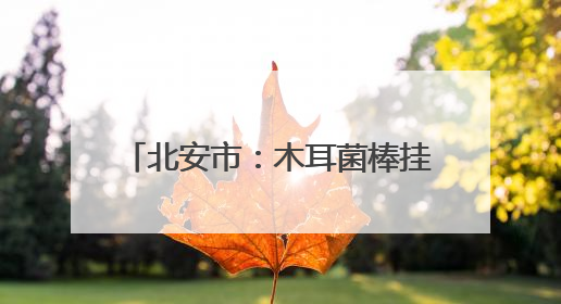 北安市：木耳菌棒挂袋忙 奋进正当时