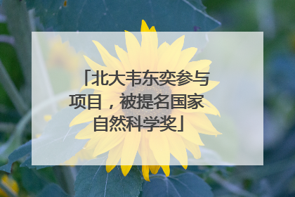 北大韦东奕参与项目，被提名国家自然科学奖