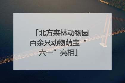 北方森林动物园百余只动物萌宝“六一”亮相