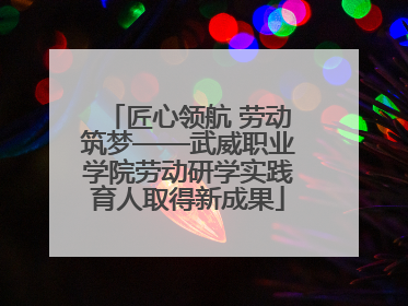 匠心领航 劳动筑梦——武威职业学院劳动研学实践育人取得新成果