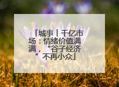 城事︱千亿市场：情绪价值满满，“谷子经济”不再小众