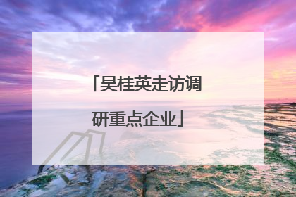 吴桂英走访调研重点企业