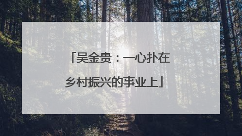 吴金贵：一心扑在乡村振兴的事业上