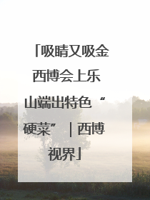 吸睛又吸金 西博会上乐山端出特色“硬菜”｜西博视界