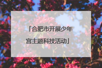 合肥市开展少年宫主题科技活动