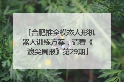 合肥推全模态人形机器人训练方案，请看《浪尖周报》第29期