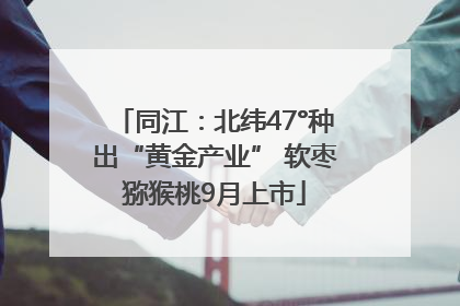 同江：北纬47°种出“黄金产业” 软枣猕猴桃9月上市