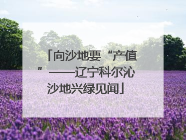 向沙地要“产值”——辽宁科尔沁沙地兴绿见闻