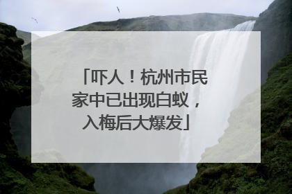 吓人！杭州市民家中已出现白蚁，入梅后大爆发