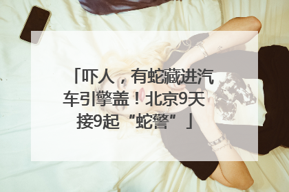 吓人，有蛇藏进汽车引擎盖！北京9天接9起“蛇警”
