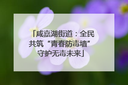 咸嘉湖街道：全民共筑“青春防毒墙” 守护无毒未来
