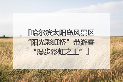 哈尔滨太阳岛风景区“阳光彩虹桥”带游客“漫步彩虹之上”