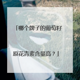 哪个牌子的葡萄籽原花青素含量高？