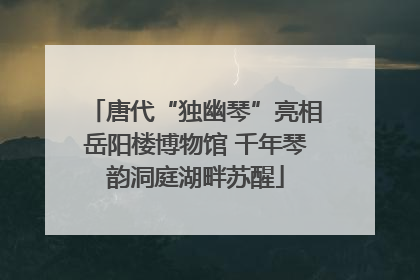 唐代“独幽琴”亮相岳阳楼博物馆 千年琴韵洞庭湖畔苏醒