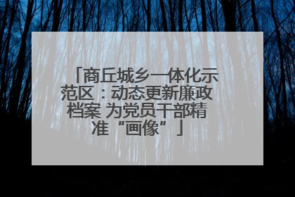 商丘城乡一体化示范区：动态更新廉政档案 为党员干部精准“画像”