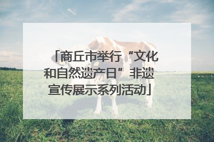 商丘市举行“文化和自然遗产日”非遗宣传展示系列活动