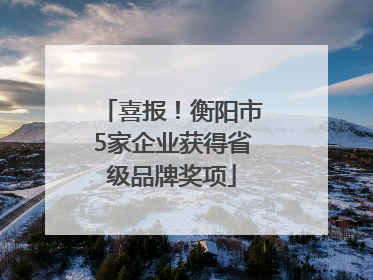 喜报！衡阳市5家企业获得省级品牌奖项