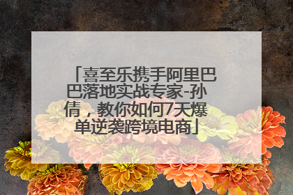 喜至乐携手阿里巴巴落地实战专家-孙倩，教你如何7天爆单逆袭跨境电商