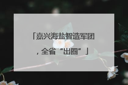 嘉兴海盐智造军团，全省“出圈”